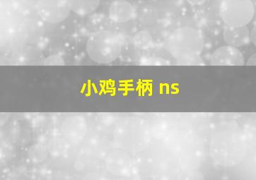 小鸡手柄 ns